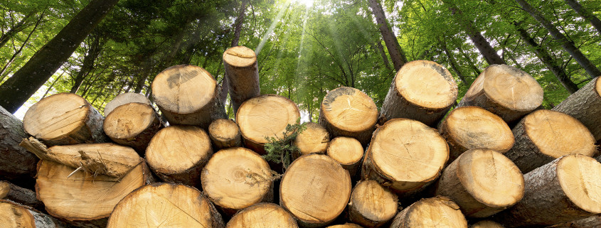 costruzioni legno come