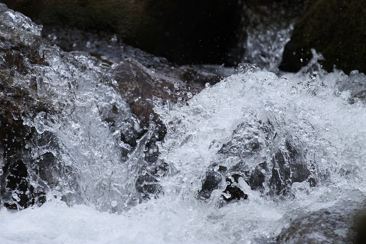 acqua