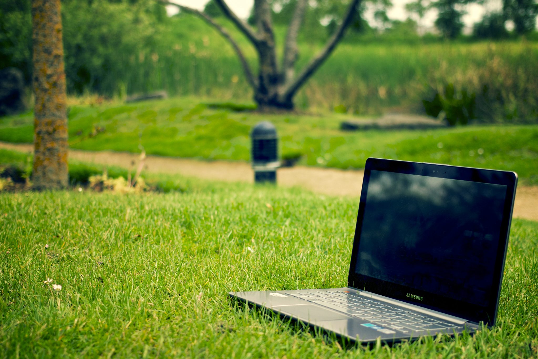 come unire l'ecologia al lavoro