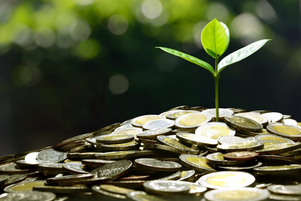 risparmio growth