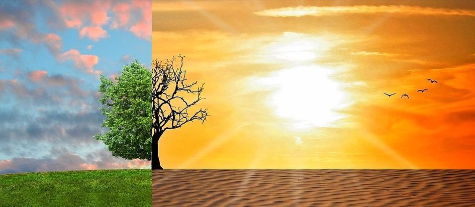 Cambiamenti climatici e deserti