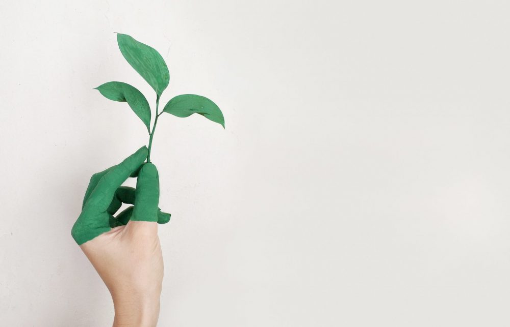 Come proteggere l' ambiente da casa