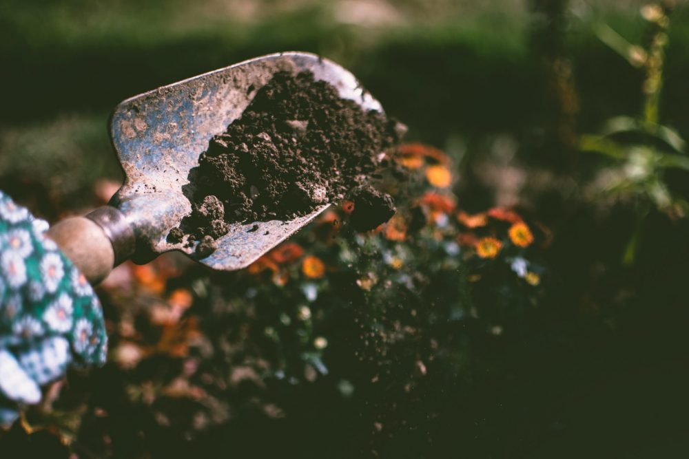 Consigli fai da te per la la bellezza del tuo giardino 