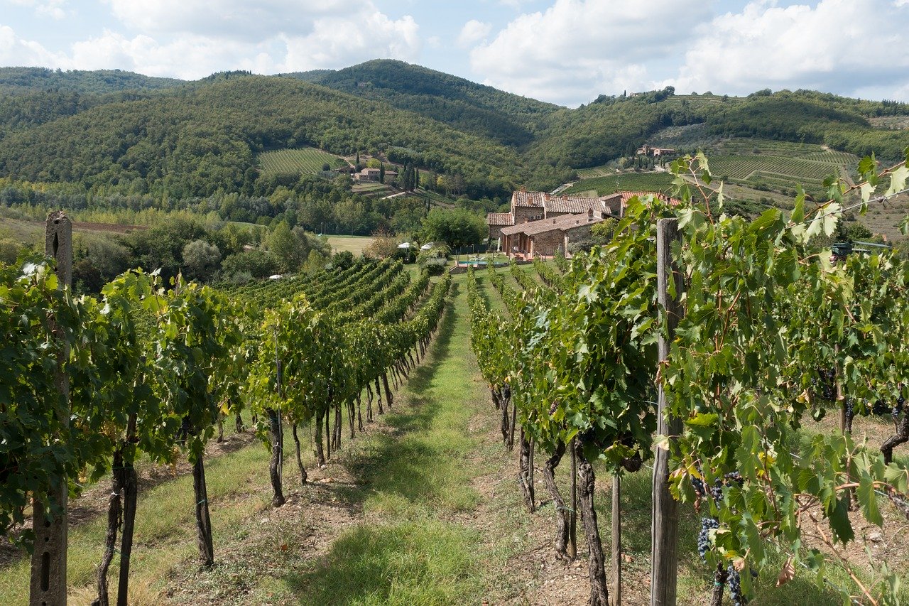 vino italiano
