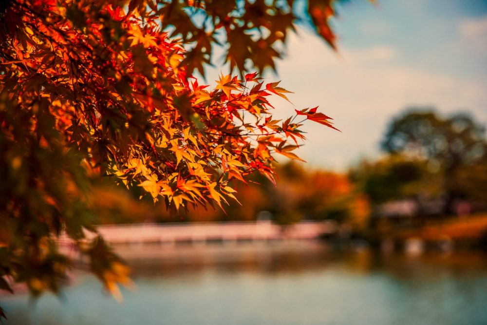 gita fuori porta in autunno