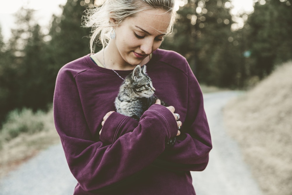Gatti affettuosi