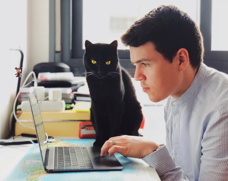 Gatto intelligente