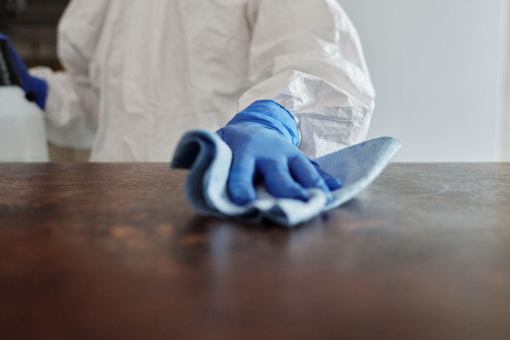 azienda di disinfestazione derattizzazione